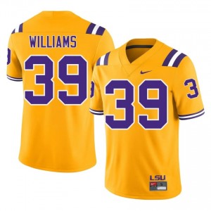 Lavonte Williams #39 LSU Tigers Gold Men Breathable Jersey | Authentic College Football Merch e0oXOr50