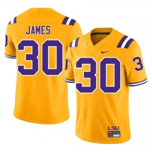 Treylan James #30 Fighting Tigers Gold Men Stitched Jersey | Pro Cut NCAA Football Apparel l267M672