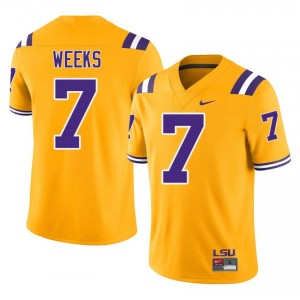 Whit Weeks #7 LSU Tigers Gold Men Embroidery Jersey | High-Quality College Football Merch 63B1QD86