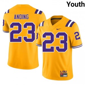 Aidan Anding #23 LSU Tigers Gold Youth Embroidery Jersey | Limited College Football Uniform 26qr1667