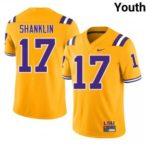 Damien Shanklin #17 LSU Tigers Gold Youth Mesh Jersey | Rare SEC Football Apparel g27u4728