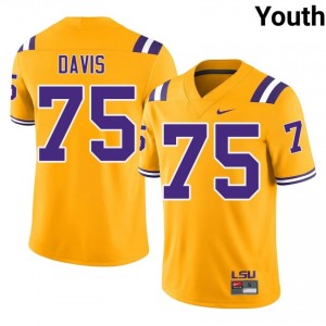 Weston Davis #75 LSU Tigers Gold Youth Mesh Jersey | Exclusive SEC Football Merchandise H16I5r79