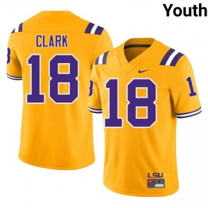 Damone Clark #18 LSU Tigers Gold Youth Mesh Jersey | High-Quality SEC Football Gear q5280596