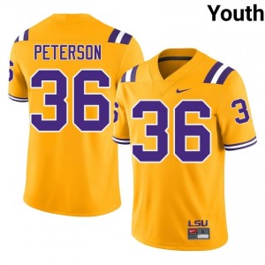Emari Peterson #36 LSU Tigers Gold Youth Mesh Jersey | Essential SEC Football Merch b8l8T565