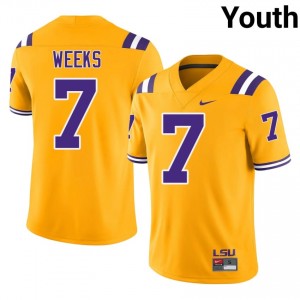 Whit Weeks #7 Fighting Tigers Gold Youth Lightweight Jersey | Elite Thread NCAA Football Merchandise 43Rm3320